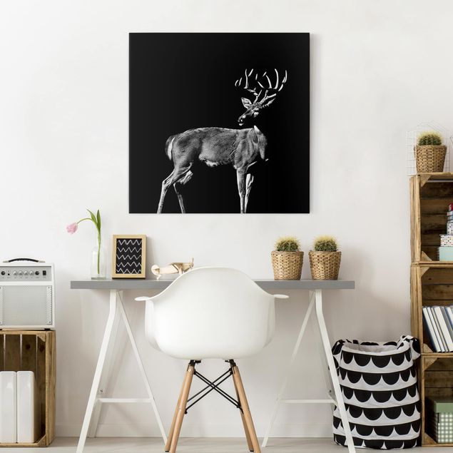 Black and white canvas art Deer In The Dark