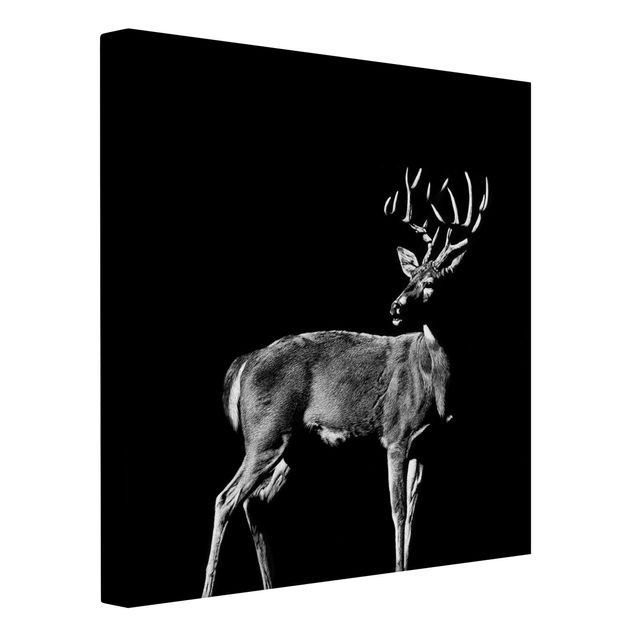 Animal canvas Deer In The Dark