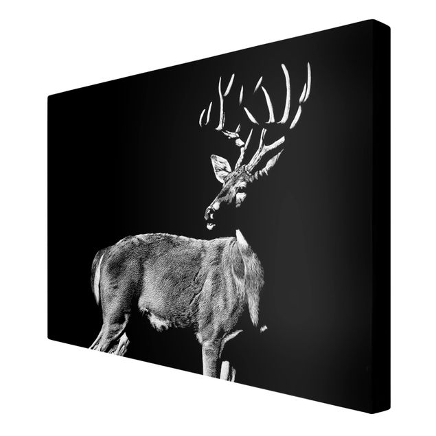Black and white wall art Deer In The Dark