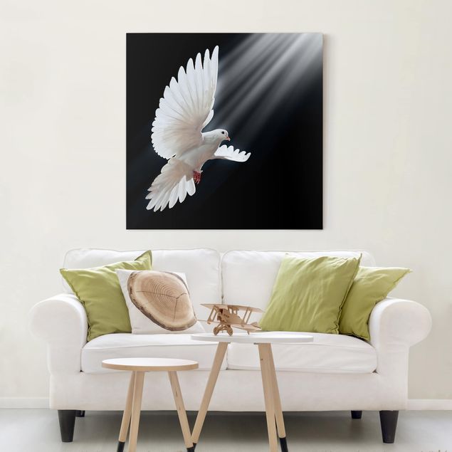 Canvas birds Holy Dove