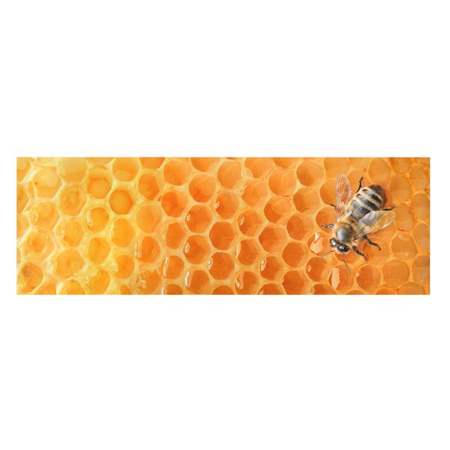Prints Honey Bee