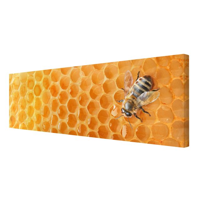 Wall art prints Honey Bee