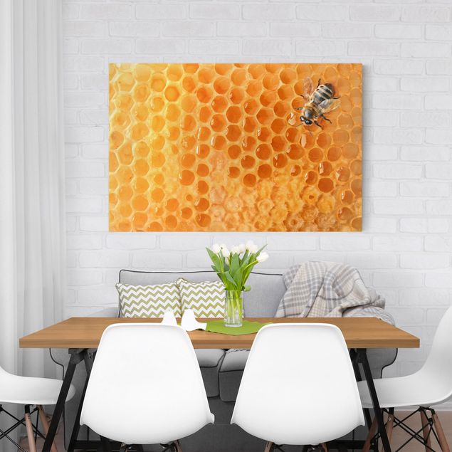 Animal canvas Honey Bee