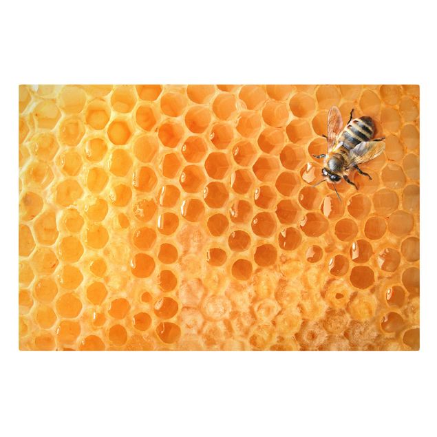 Animal canvas art Honey Bee