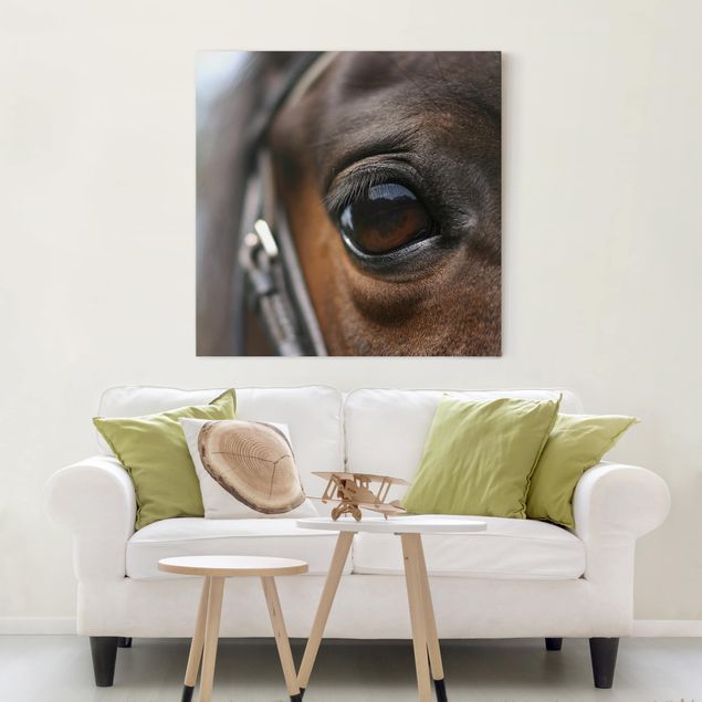 Horse canvas wall art Horse Eye No.3