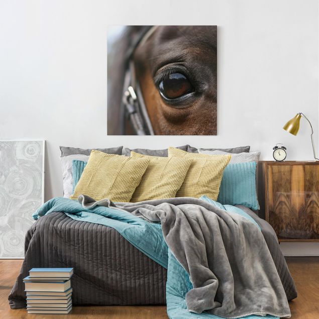 Animal wall art Horse Eye No.3