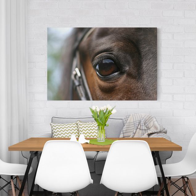 Prints animals Horse Eye