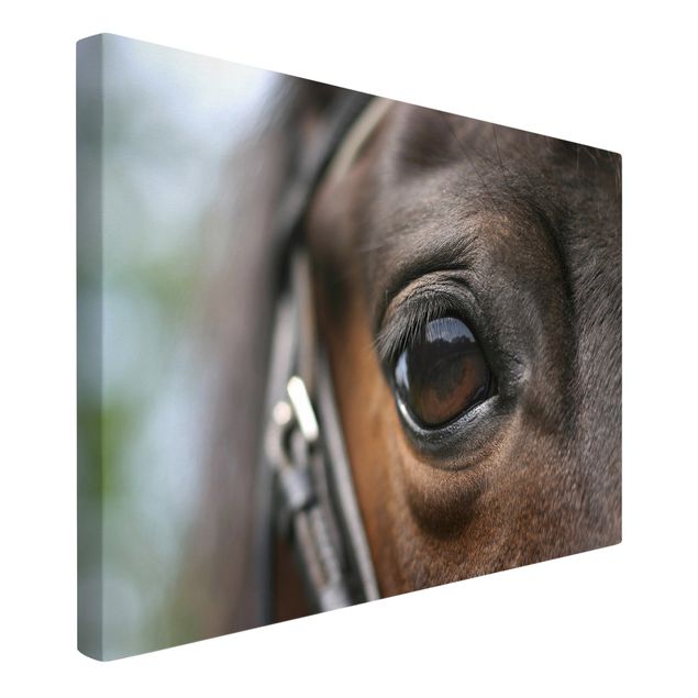 Modern art prints Horse Eye
