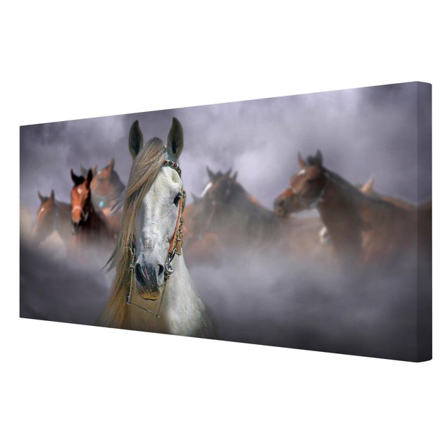 Canvas prints animals Horses in the Dust