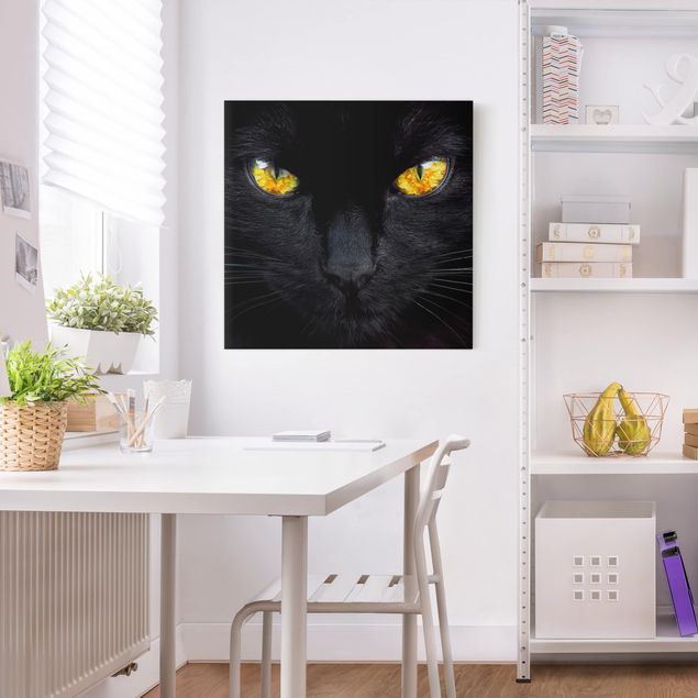 Cat canvas art Hypnotic Glance