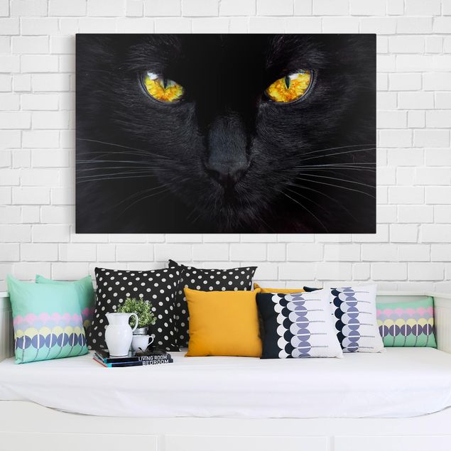 Cat canvas art Hypnotic Glance