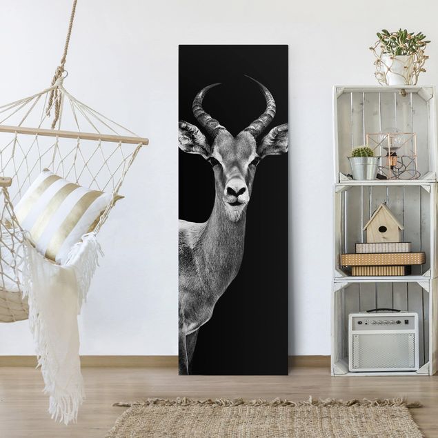 Animal wall art Impala antelope black and white