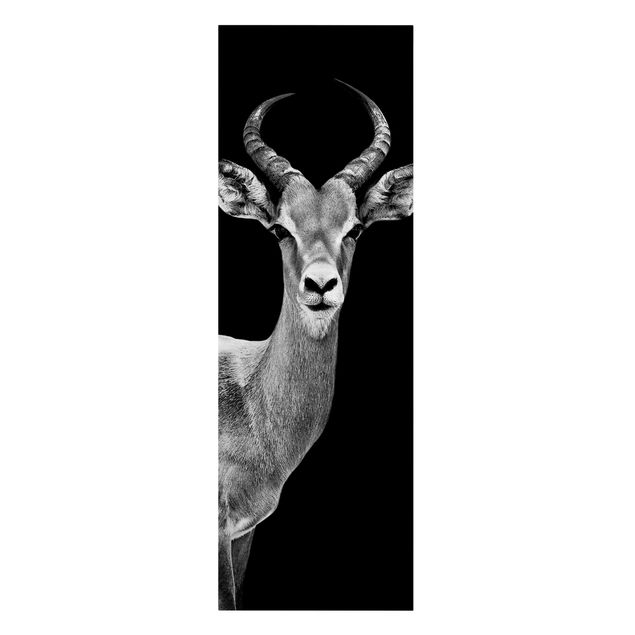 Black and white art Impala antelope black and white