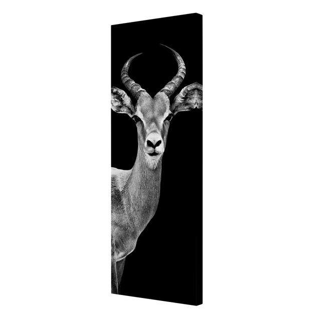 Prints Impala antelope black and white