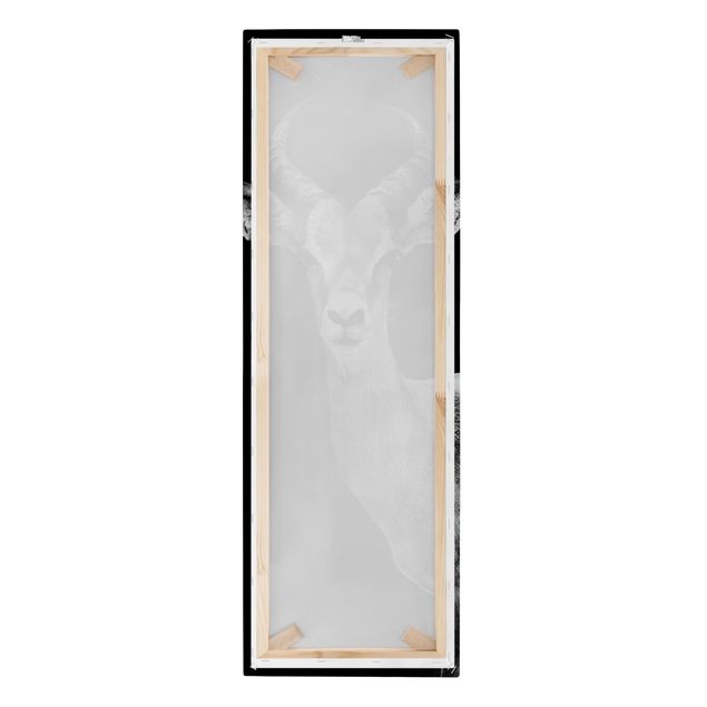 Canvas wall art Impala antelope black and white