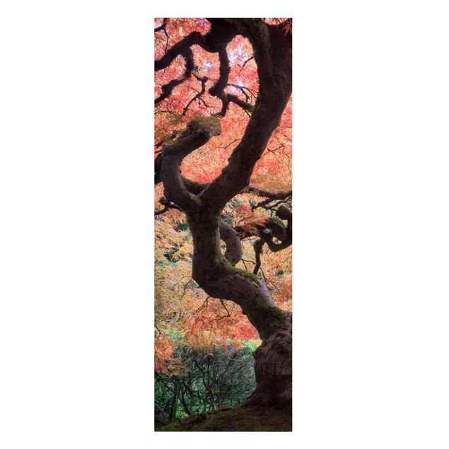 Canvas prints landscape Japanese Garden