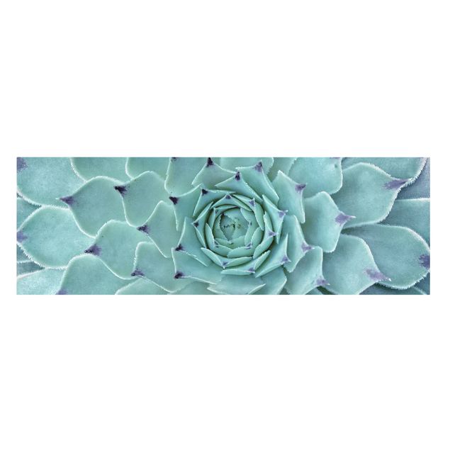 Wall art turquoise Cactus Agave