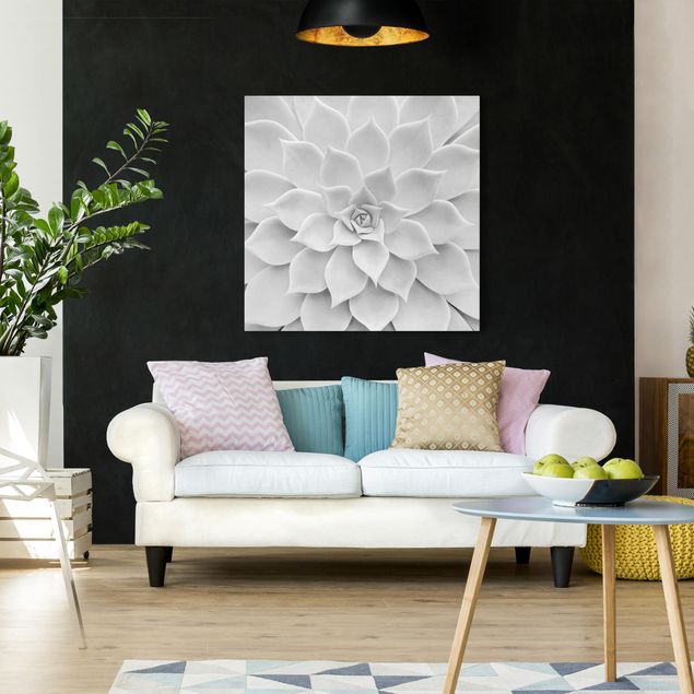 Wall art black and white Cactus Succulent