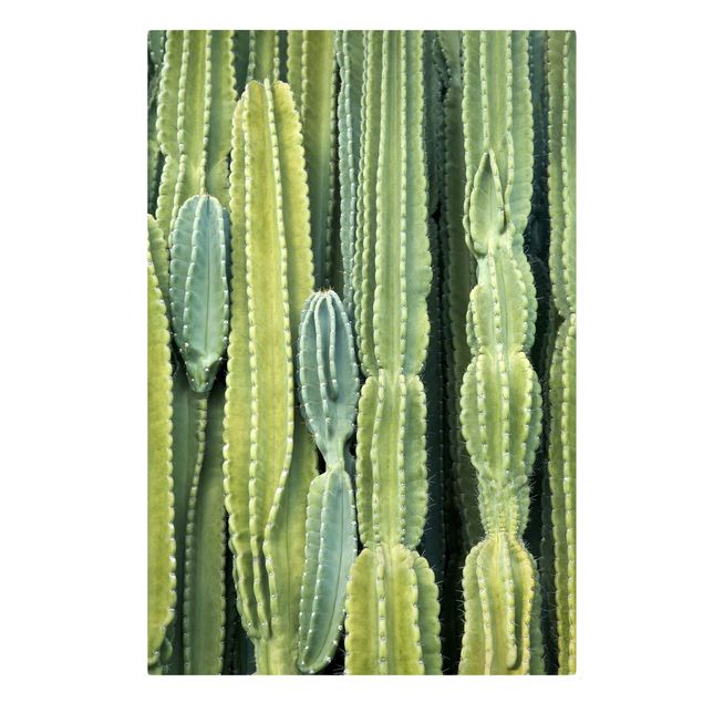 Prints green Cactus Wall