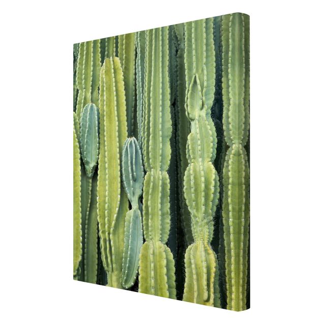 Prints Cactus Wall