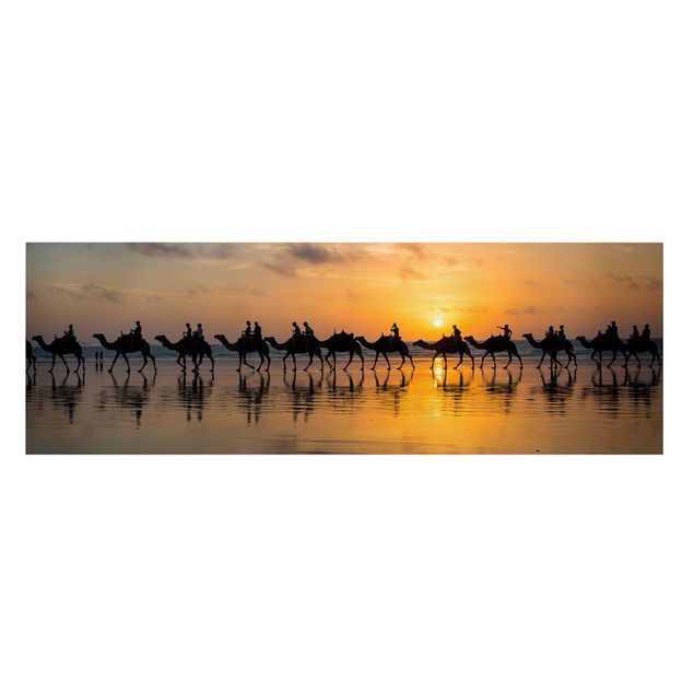 Animal canvas art Camels in the sunset