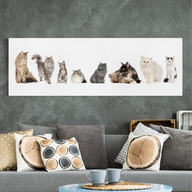 Cat prints Cat Gang