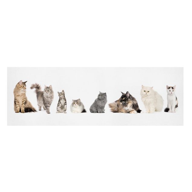 Animal wall art Cat Gang