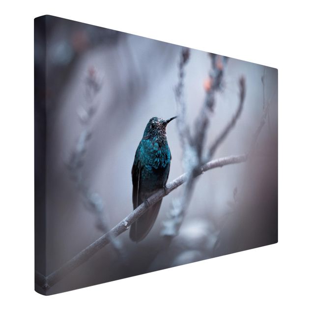 Prints modern Hummingbird In Winter