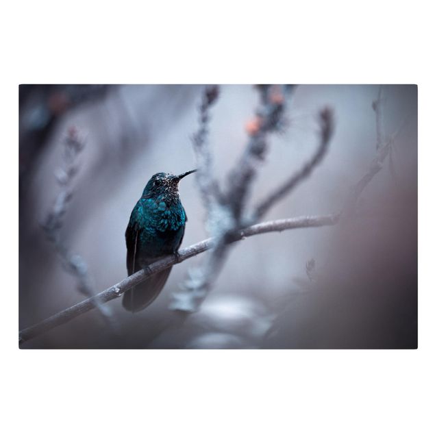 Animal canvas art Hummingbird In Winter