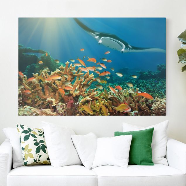 Canvas prints fishes Coral reef