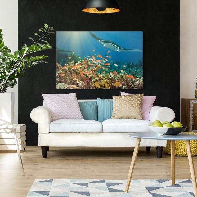 Prints fishes Coral reef