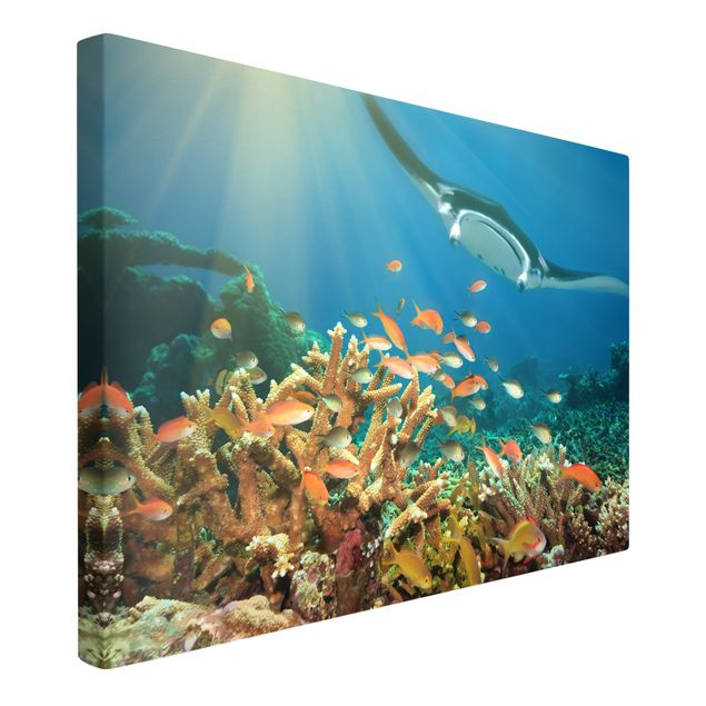 Landscape wall art Coral reef
