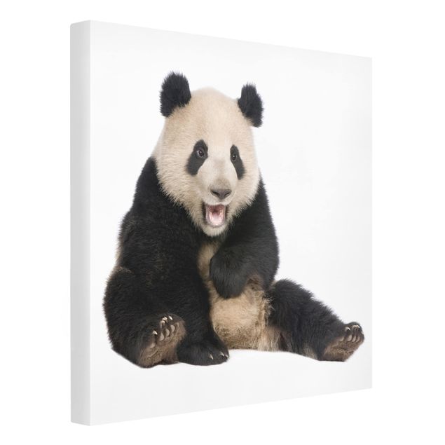 Modern art prints Laughing Panda