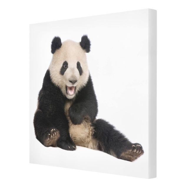Prints Laughing Panda