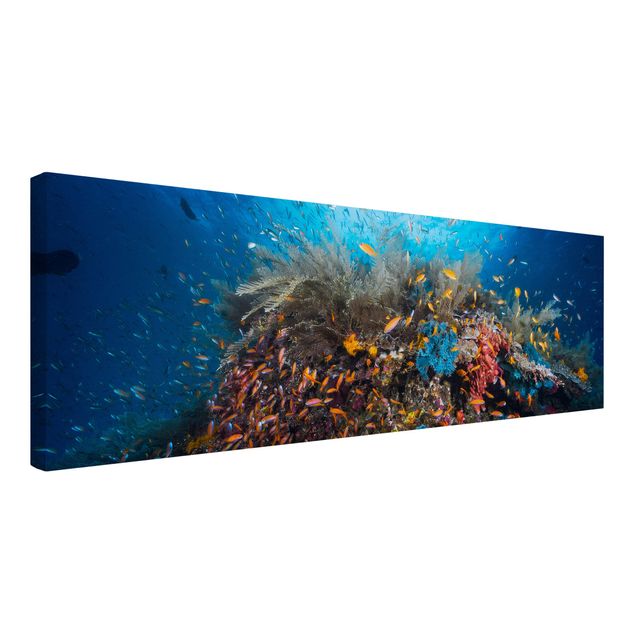 Contemporary art prints Lagoon With Fish