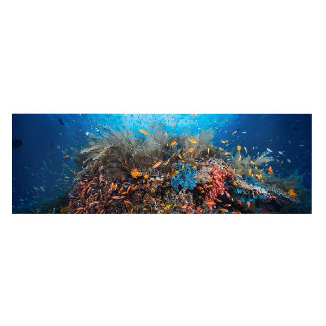 Canvas prints animals Lagoon With Fish