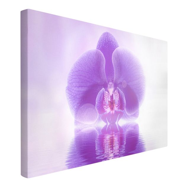 Flower print Purple Orchid On Water