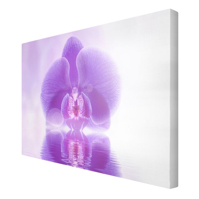 Modern art prints Purple Orchid On Water