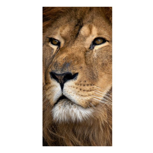 Animal canvas Lion's Gaze
