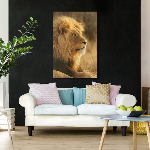 Lion canvas King Lion