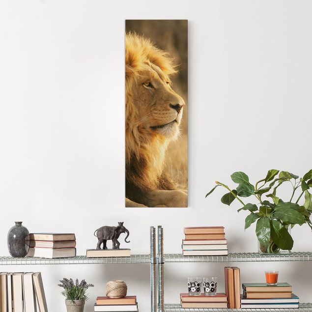 Canvas lion King Lion