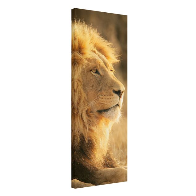 Cat canvas King Lion
