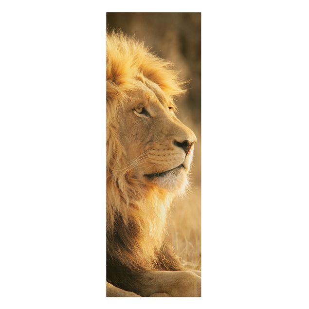 Prints animals King Lion