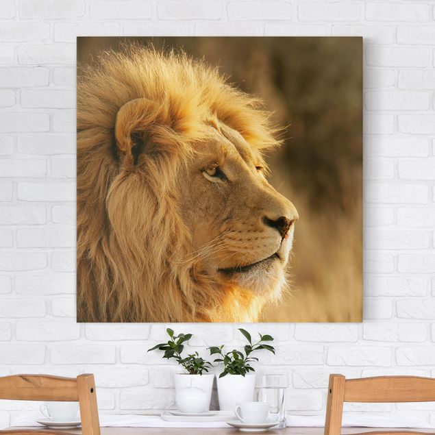 Kitchen King Lion