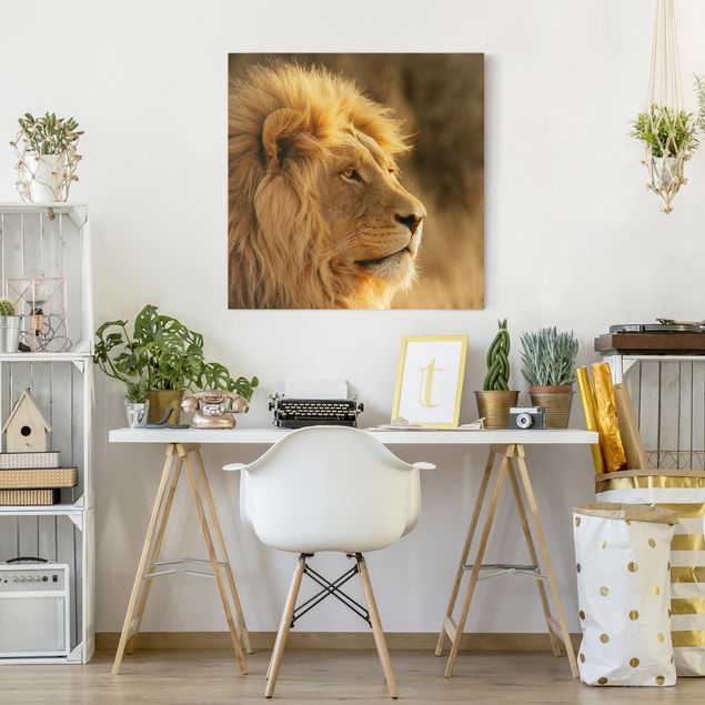 Lion canvas King Lion