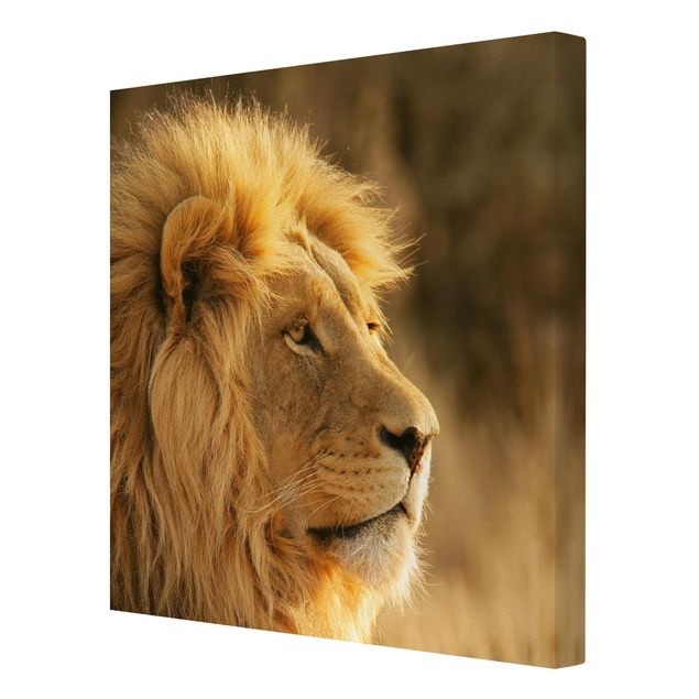 Modern art prints King Lion