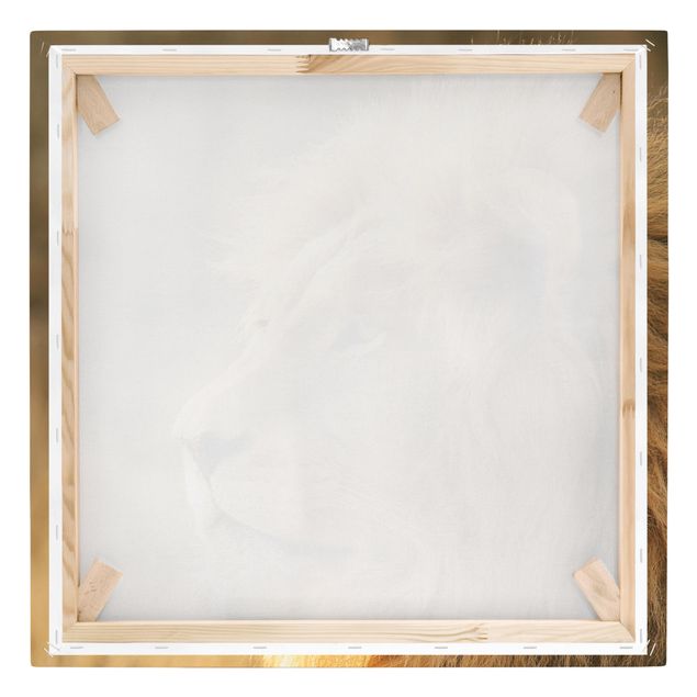 Animal canvas King Lion