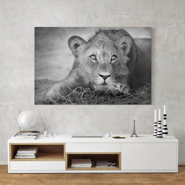 Lion wall art Lurking Lionbaby