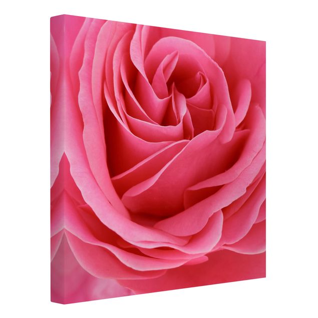 Prints flower Lustful Pink Rose