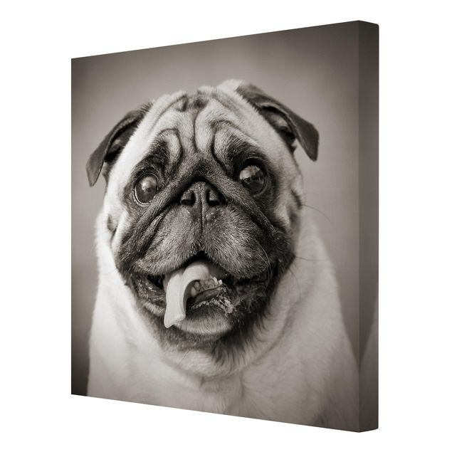 Wall art black and white Funny Pug